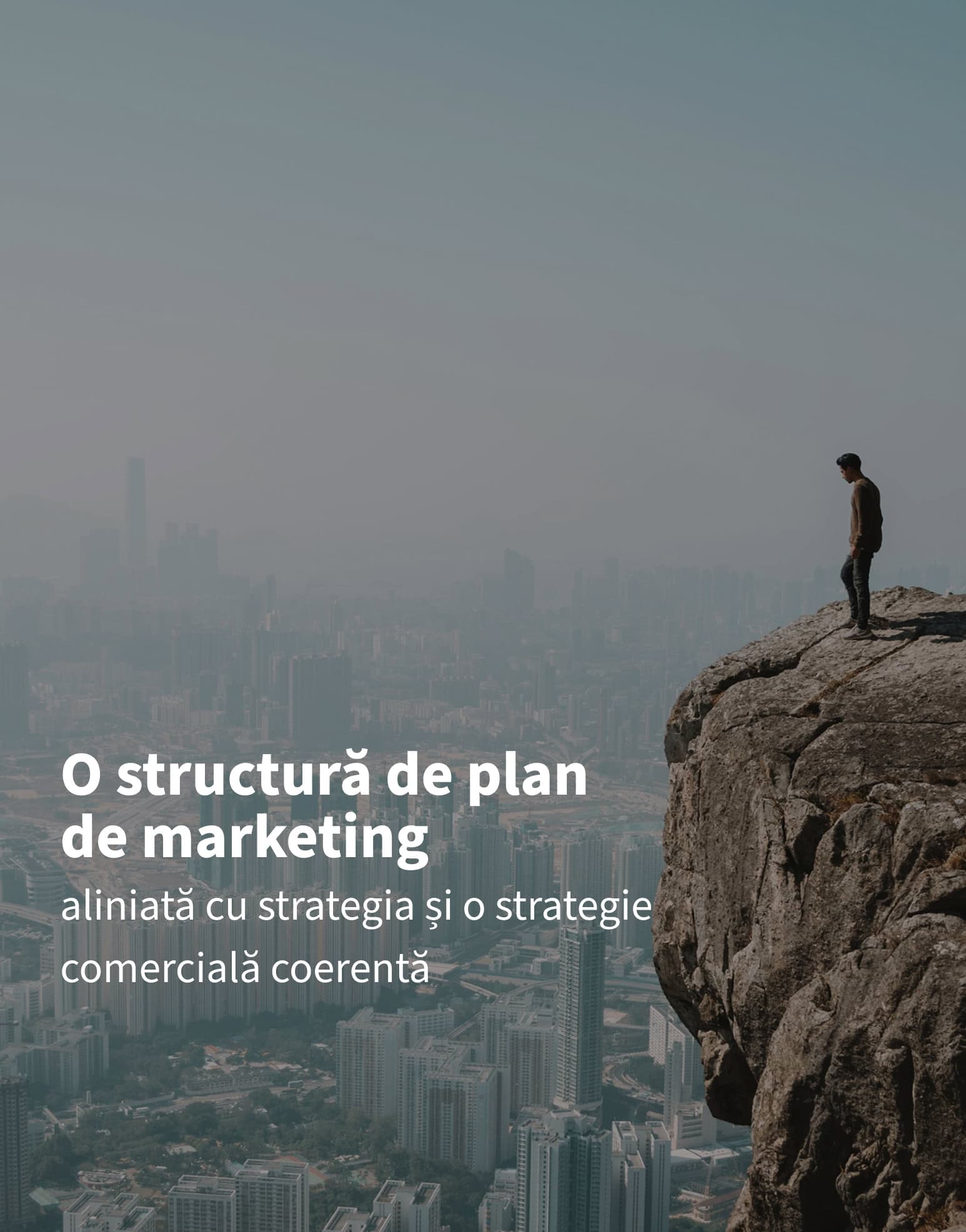 EXEC-EDU, Management 360, carusel4